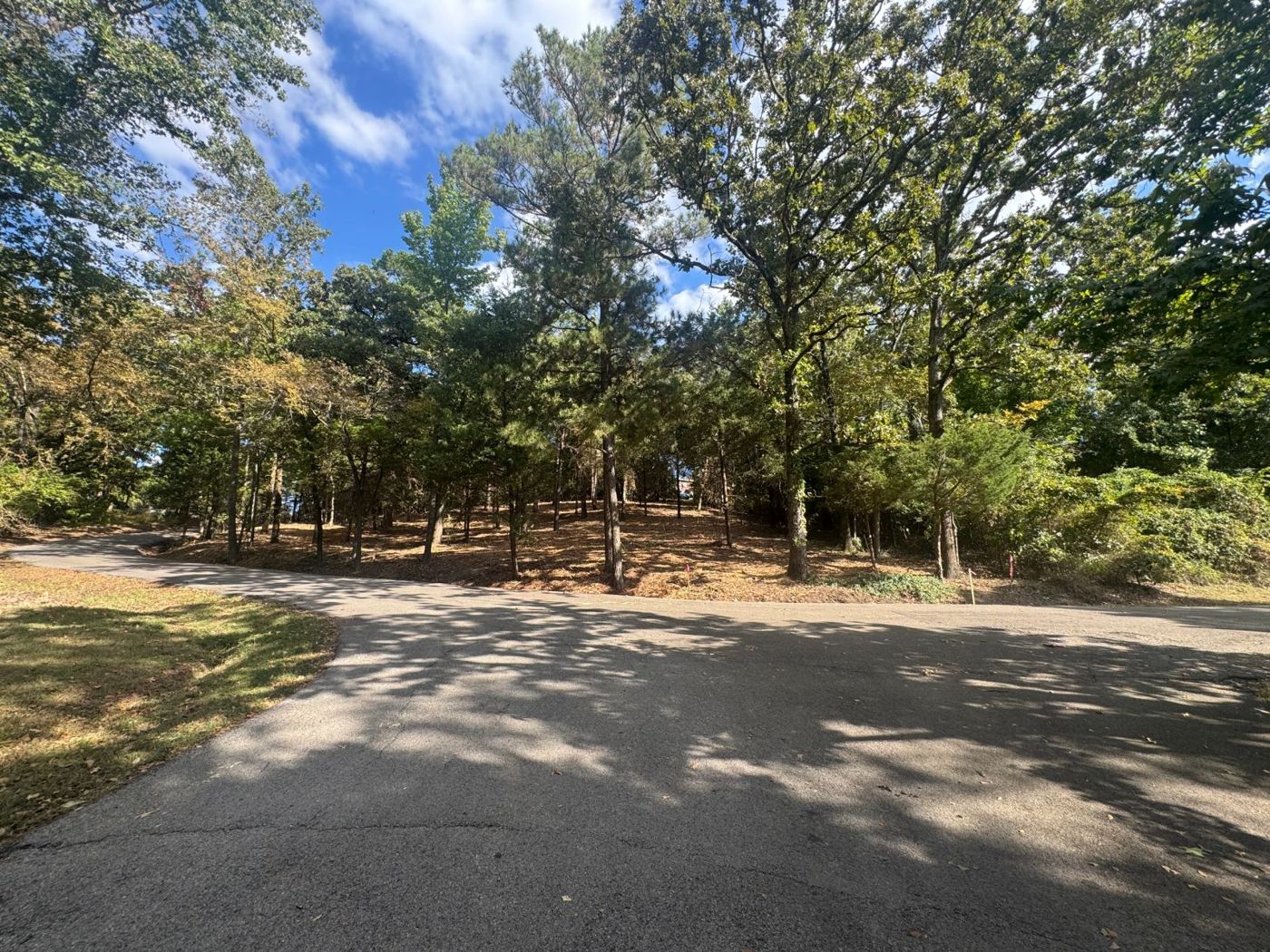 Wooded homesite along a paved road in Flint, Texas